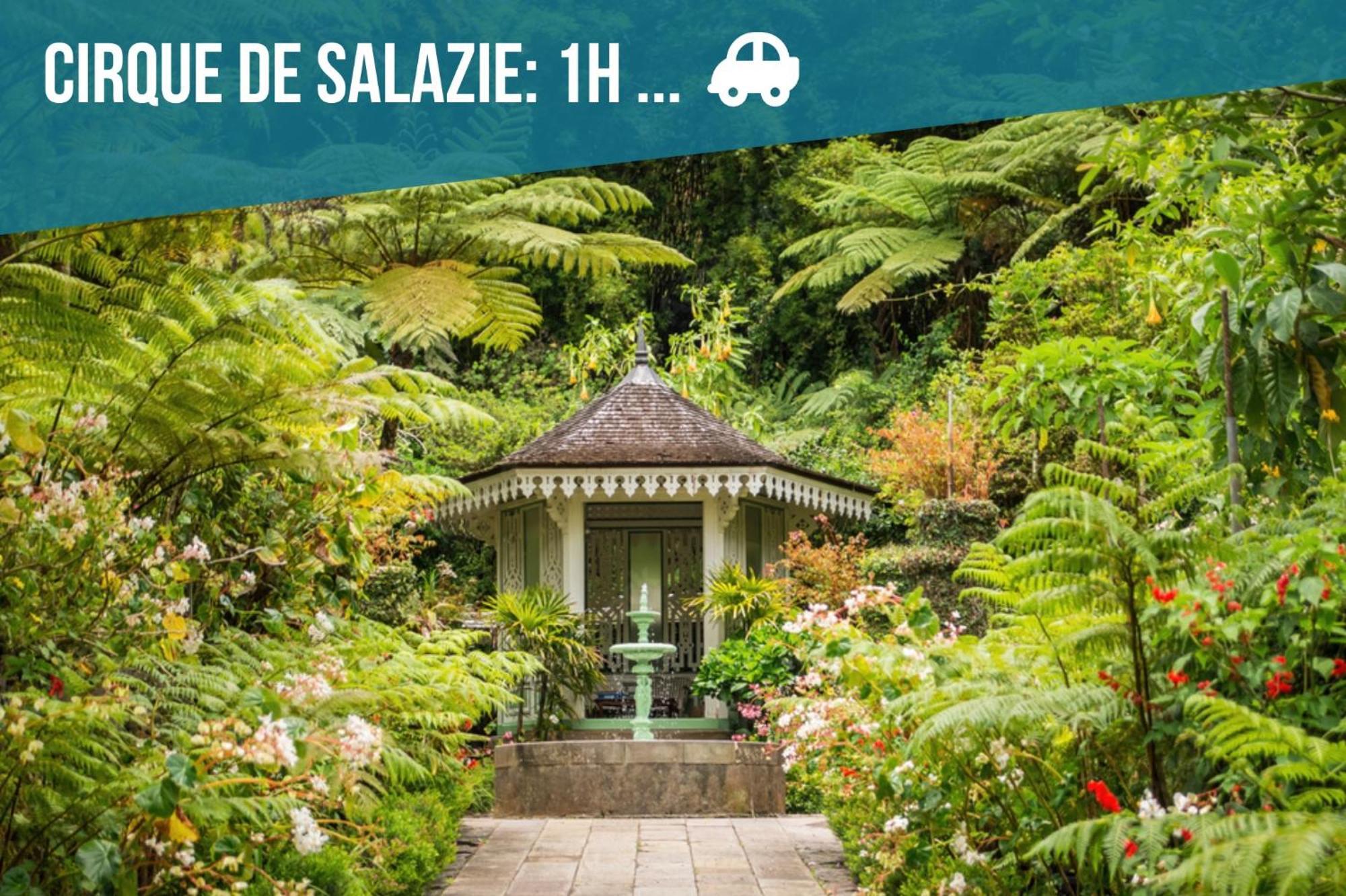 T2 Fleur De Lotus Apartment Saint-Denis Bagian luar foto